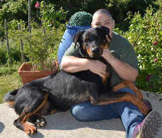domainedelalicorne.fr Elevage de beauceron chiot beauceron pure race élevage du clos de la licorne elevage des gardiens de la licorne elevage beauceron noir et feu authentique gros gabarits élevage de Beauceron familial sérieux et qualité domainedelalicorne.fr suivi des chiots conseil d’éducation chiot propre bas rouge santé caractère spécialiste du beauceron noir et feu ou arlequin chien rustique berger de France  nos chiots sont élevés avec amour et attention notre passion au service de la qualité Beauceron de qualité et sportif domaine de la licorne 04380 BARRAS élevage en liberté éleveur berger de beauce élevage de beauceron de travail 